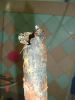DSC00229.JPG