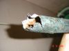 DSC00233.JPG