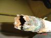 DSC00263.JPG