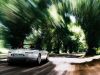 Best of the Best - 096.jpg