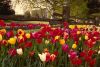 Best of the Best - 310.jpg
