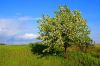 DSC05370+.jpg