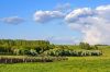 DSC05373+rr.jpg