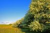 DSC05387+.jpg