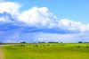 DSC05877++.jpg