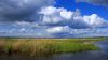 DSC05909+.jpg