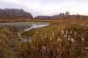DSC09513+.jpg