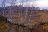 DSC09560+kr.jpg