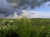 P1010079+.JPG