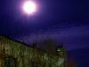 P3160064++.JPG