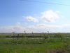 P5130010.jpg