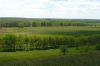 P5200062+.jpg