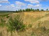 P5200064+.jpg