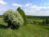P5270032+.jpg