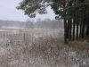 PA220036.JPG