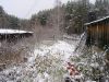 PA220046.JPG