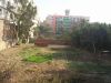 PB260055.JPG