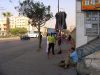 PB260060.JPG