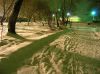 PC050080.JPG