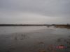 DSC01577.JPG