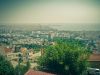 DSC01389.jpg