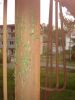 DSC03767.JPG