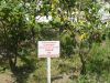 DSC03808.JPG