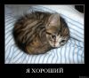 091_pics.jpg