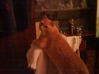 DSC01061.JPG