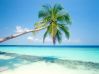 Nature_Beach__004364_.jpg