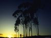 naturetropic24_2.jpg