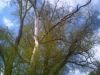 Foto0002.jpg