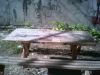 Foto0006.jpg