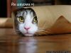 normal_img_3434028_2_19.jpg