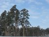 IMG_4630.JPG