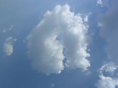 ,     