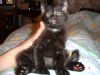DSC00015.JPG