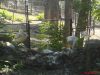 DSC00090.JPG