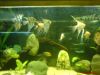 DSC00150.JPG
