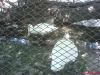 DSC00158.JPG