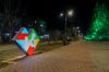 DSC01308.jpg