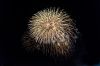 DSC02736.jpg