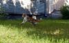 DSC04759.jpg