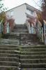 DSC08498.JPG