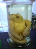 DSC00027.JPG