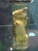 DSC00049.JPG