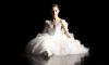 kinopoisk.ru-Black-Swan-1423803.jpg