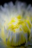 IMGP0469-2.jpg
