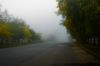 IMGP0598-2.jpg