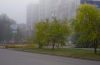 IMGP0615.jpg